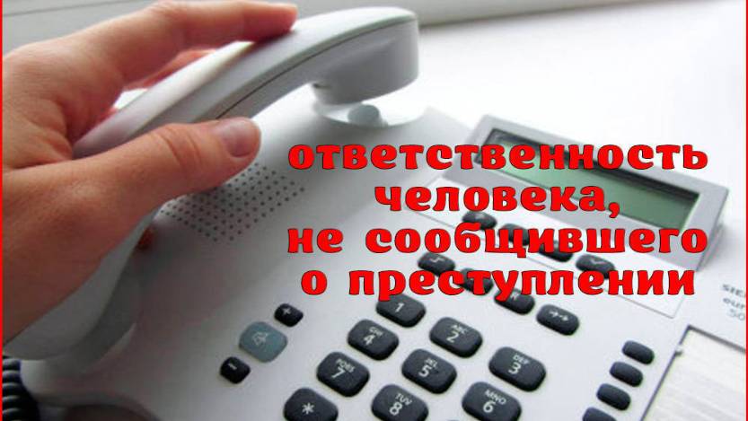 2025. ДУМА ПОДАРИЛА СРОК ЗА НЕСООБЩЕНИЕ О ПРЕСТУПЛЕНИИ: бдим и сообщаем! Мнение А.РОЖИНЦЕВА