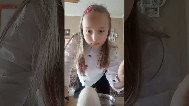 собираюсь в школу