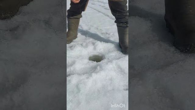 рыбалка на намане