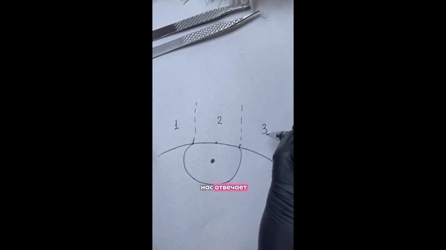 Учимся рисовать правильную разметку по глазу для наращивания ресничек