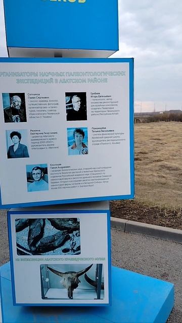 Земля мамонтов. #travel #путешествия #mammoth #trucker #truckdriver