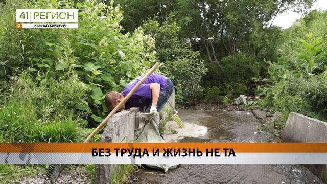 ПОЛОВИНА КАМЧАТЦЕВ ПОДДЕРЖАЛА ПРИВЛЕЧЕНИЕ ПОДРОСТКОВ К РАБОТЕ НА ВЫХОДНЫХ ЛЕТОМ • НОВОСТИ КАМЧАТКИ