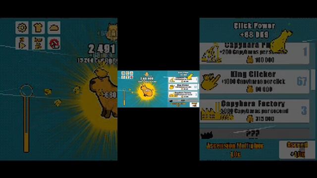 я стал капибарой.