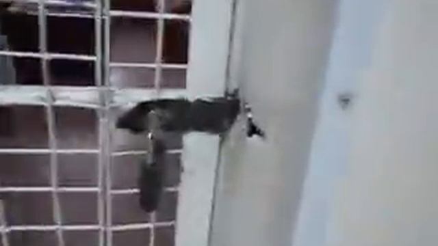 Узник Токаревского интерната Тамбовской обл!!!