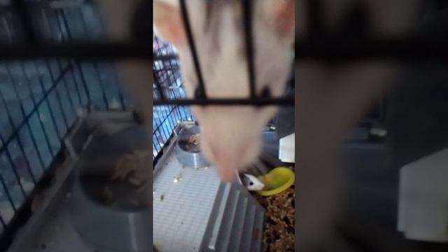 общение со мной #крутой бабахер топ