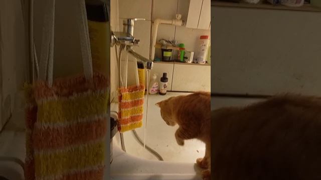 1000004884.mp4