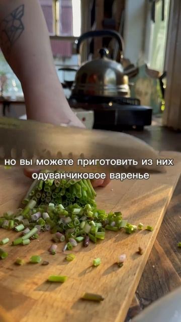 приготовление одуванчикового чая с необычным вкусом