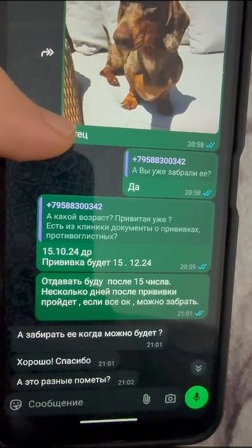 VID-20250409-WA0000