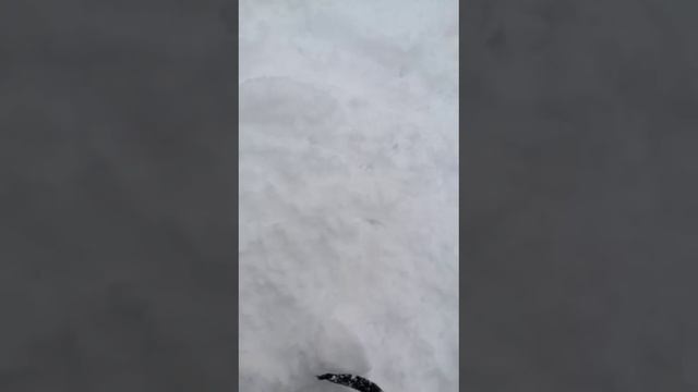 1000030665.mp4