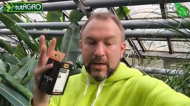 ФИТОЛАМПЫ НЕ НУЖНЫ рассада не потянется! Вырастет крепкая рассада! Дёшево и эффективно.