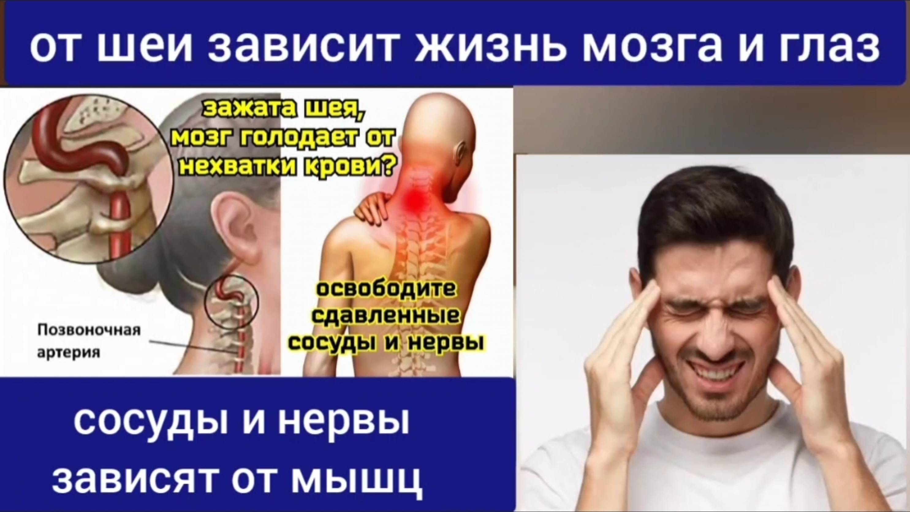 Жизнь шеи и мозга зависит от сочленения атланта и аксиса. Как освободить зажатые артерии?