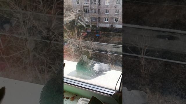 1000000819.mp4