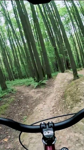 Четыре петуха простая линия