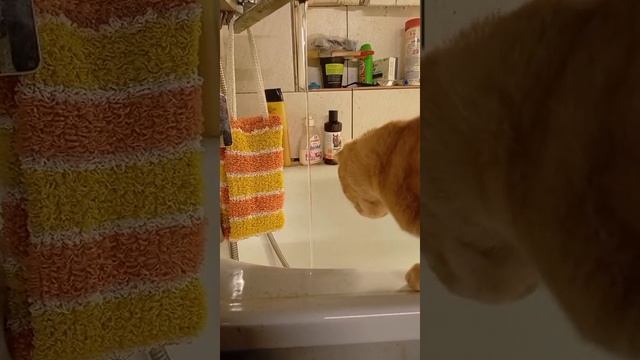 1000004880.mp4