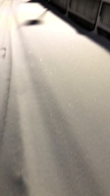 В Москве снега по колено!
