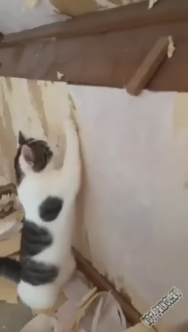 снемаем стену