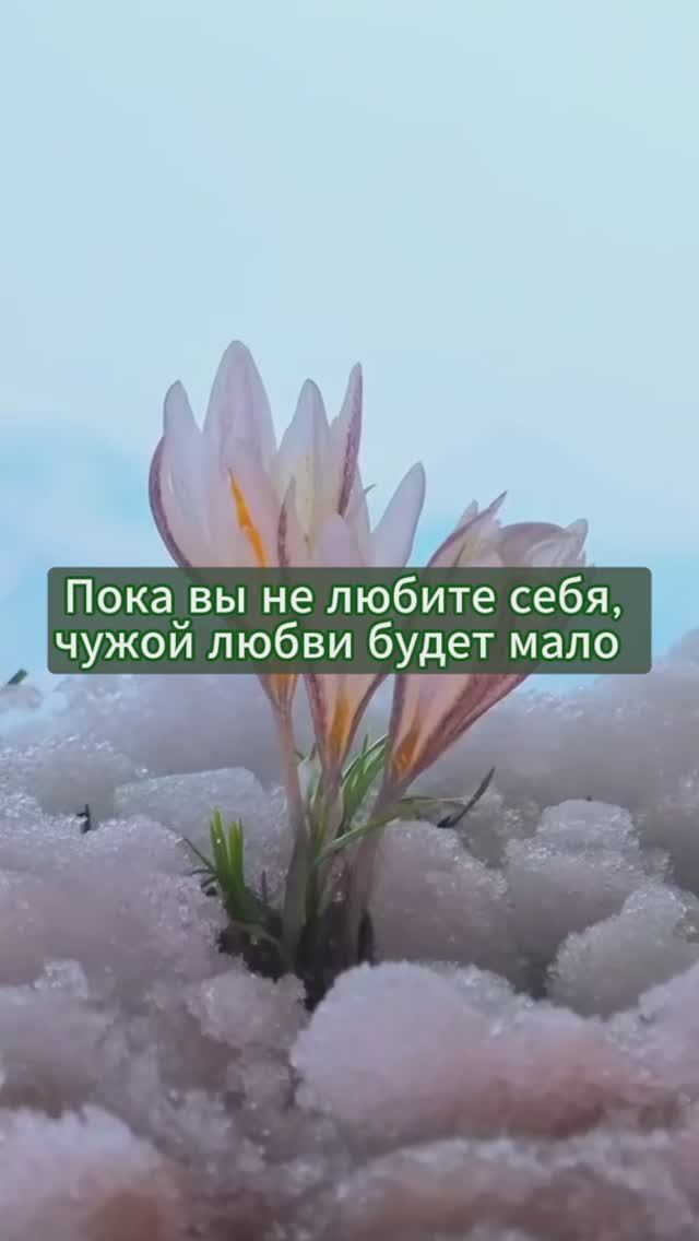 Любовь к себе: про 6 и 12 арканы