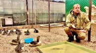 Вести РОССИИ снимают об Олеге Зубкове и спасении птиц в Крыму документальный фильм!!!
