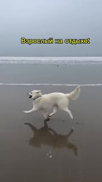 Взрослый и ребенок на отдыхе