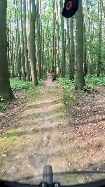 Secret spot средняя линия