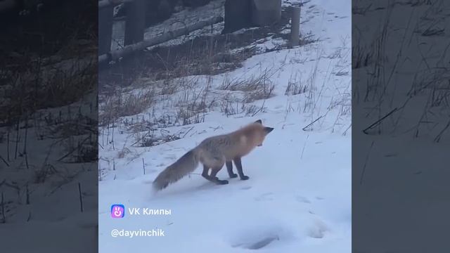Как это прикольно 😂