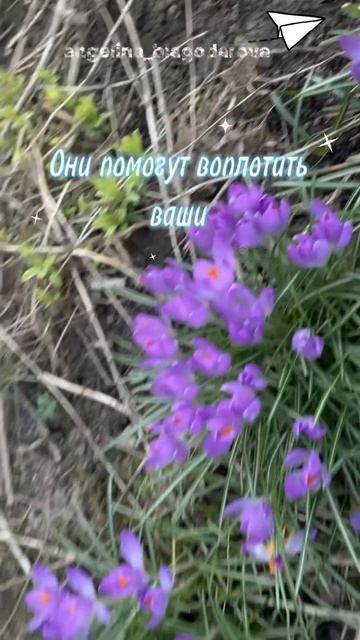 Доброе утро🩷 Пусть все будет чудесно