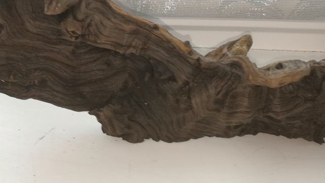 Мангровая коряга в аквариум 38 см