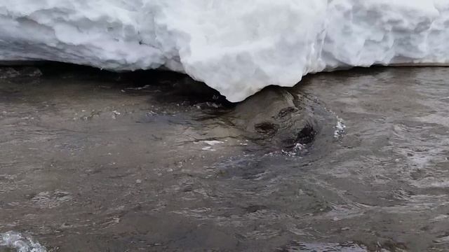 #жизнь#камня#расслабься#09.04.25#