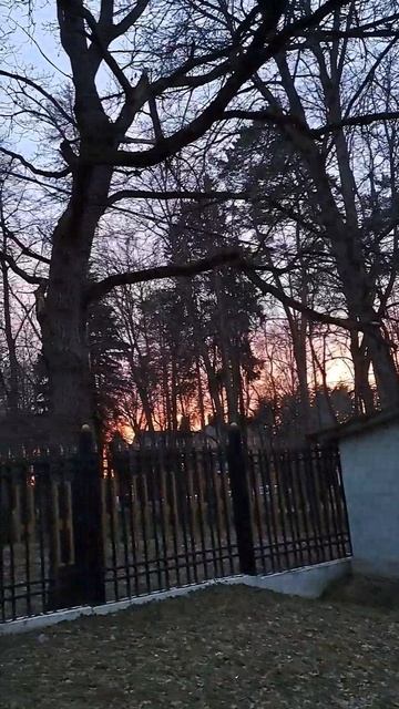 Совсем недавно было тепло☀️
