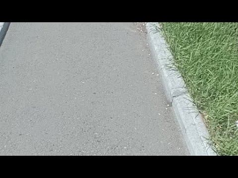 Стрим с Масей