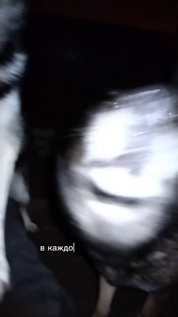хорошую послушную женщину можно найти