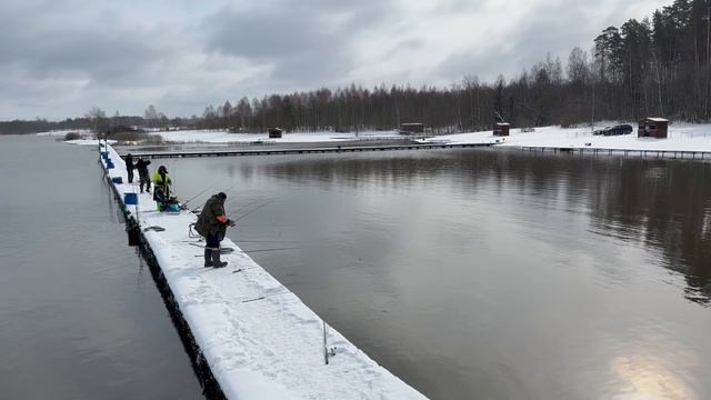 Запуск форели в акваторию 25 кг !!!!