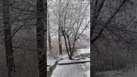 НЕПОГОДА