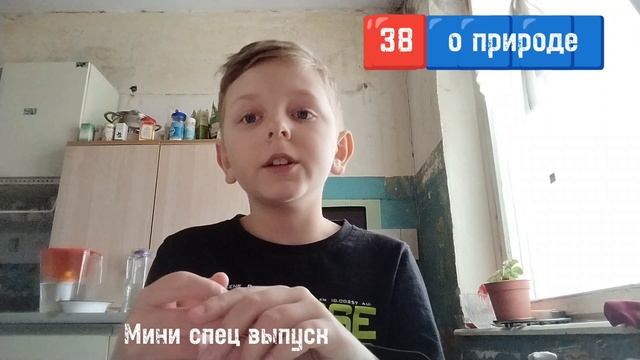 Мини спец выпуск 🔴