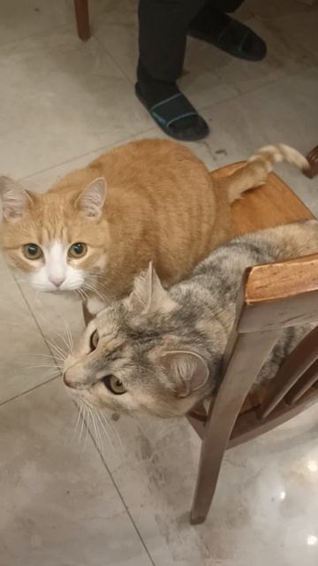Кусочничаем.