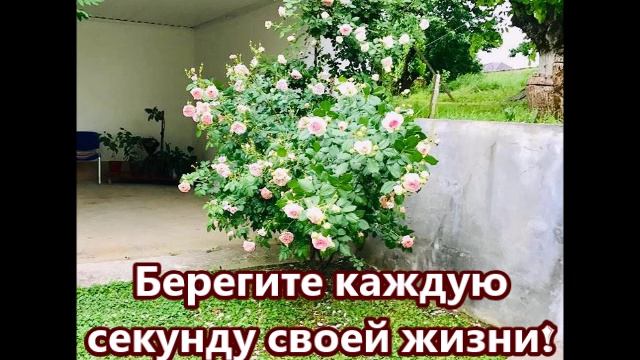 Берегите каждую секунду своей жизни!