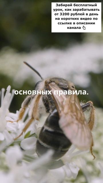 Омар Хайам сказал