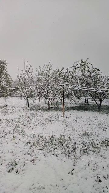 ЗИМА❄🌨ВЕСНОЙ💐