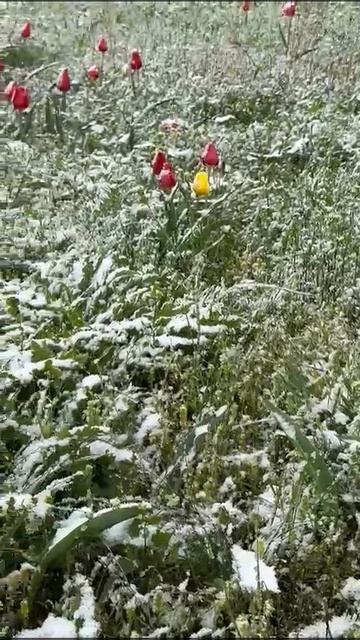 Приютненский район сегодня