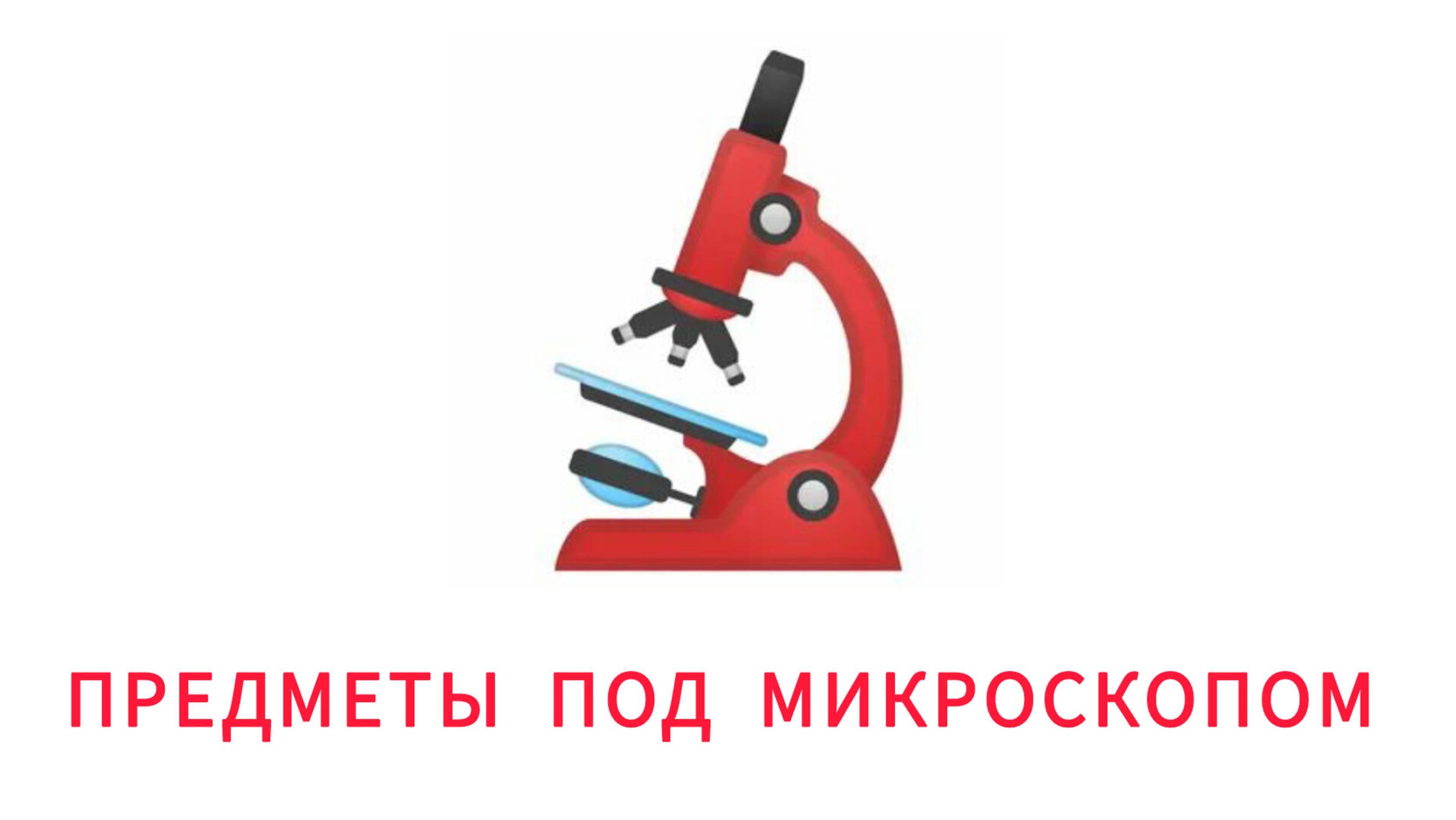 ПРЕДМЕТЫ ПОД МИКРОСКОПОМ для детей развивающие мультики познавательное видео для малышей на русском