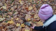 30.10.2020 14:36 пятница. Прогулки по листве и кормление белок в парке. Нехолодно и пасмурно.