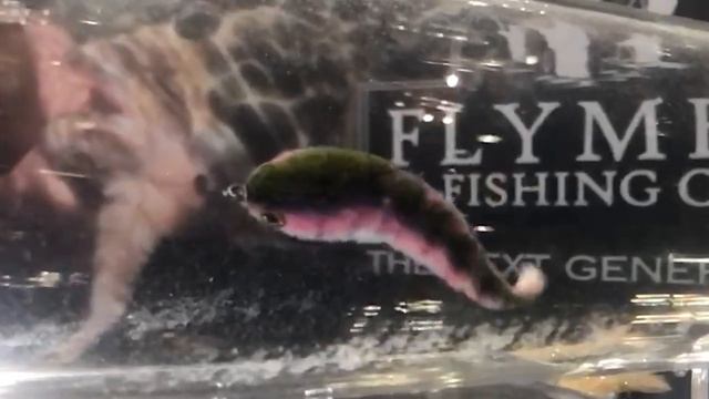 Next Game Changer fly – Slow motion in the Fly Tester