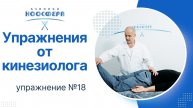 Упражнение по кинезиологии № 18
