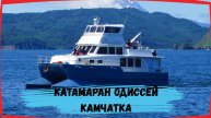 Катамаран Одиссей Камчатка