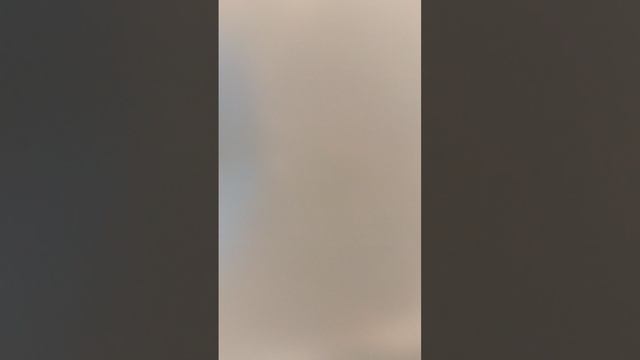 видео из жизни