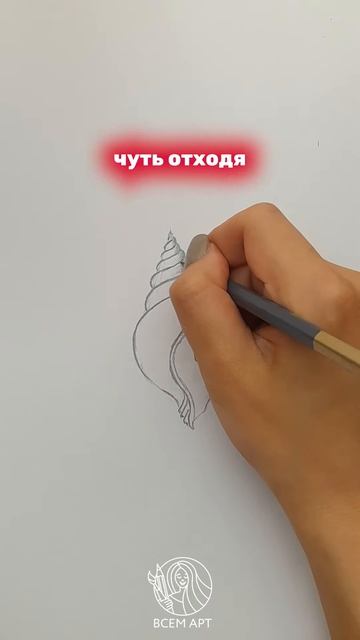 Как нарисовать ракушку карандашом Короткие уроки рисования от Всем Арт. short #shorts – копія