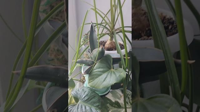 Нежданная зима в Апреле