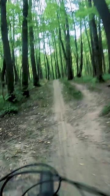 Спот маяк большая линия