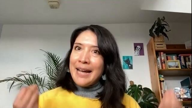 David Bowles and Erika Meza Answer Why were the colors chosen for the book?mp4