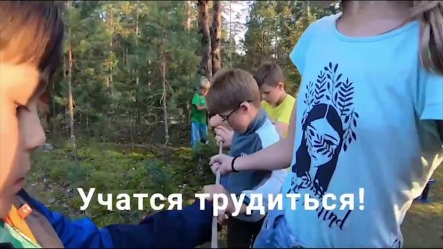 Дружные слеты